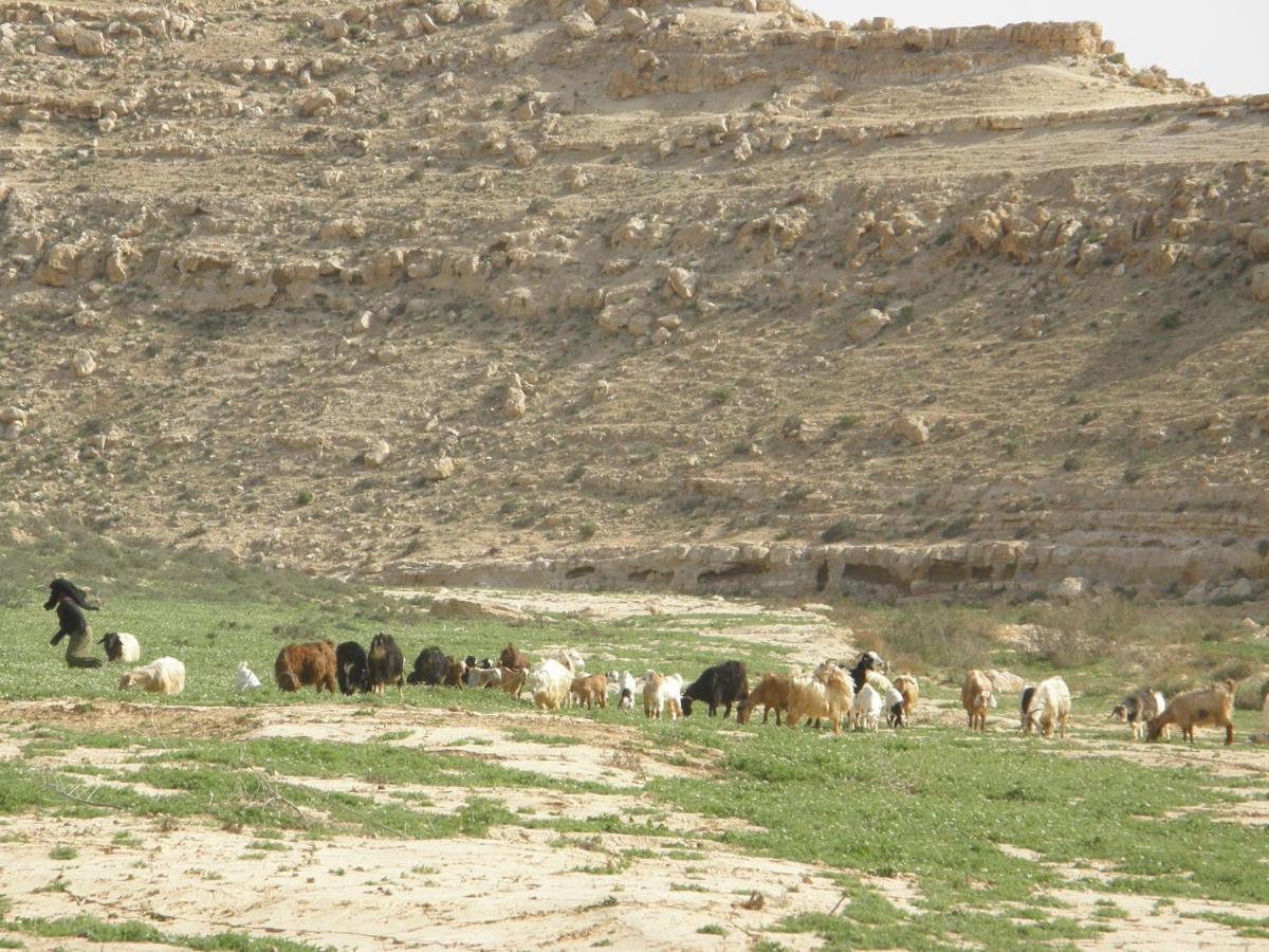 Hadass Desert Inn Dimona Kültér fotó