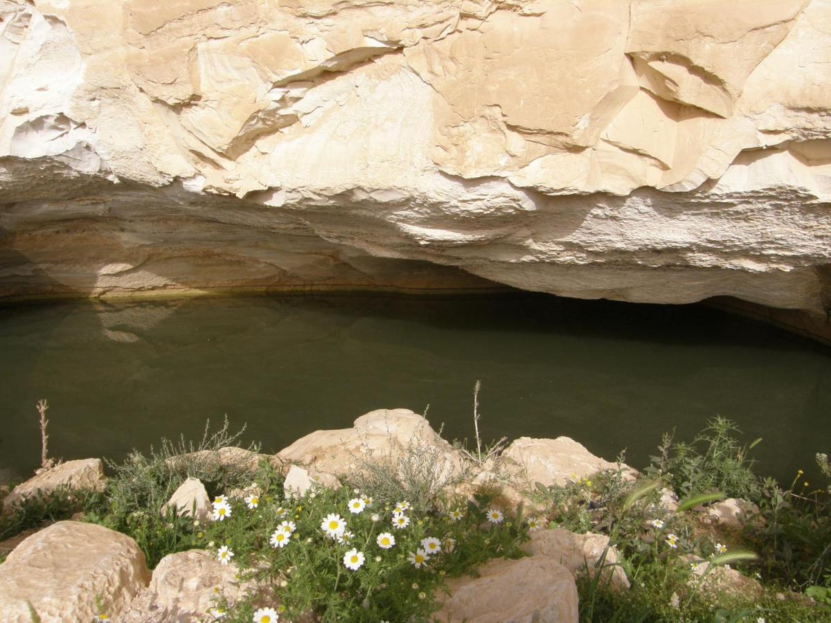 Hadass Desert Inn Dimona Kültér fotó