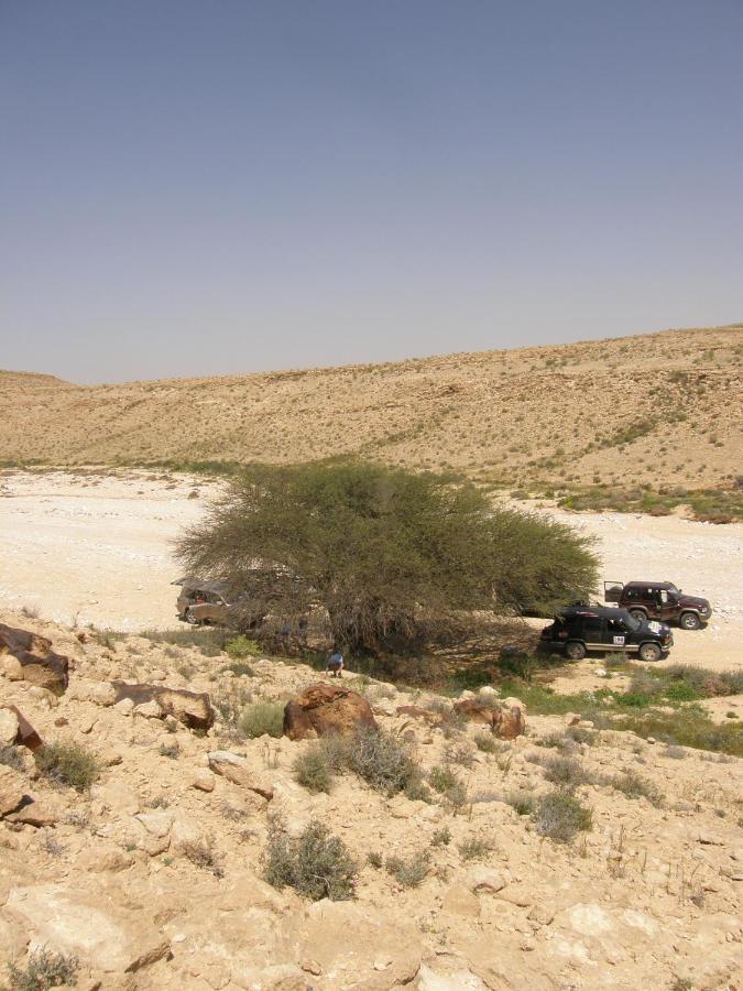 Hadass Desert Inn Dimona Kültér fotó
